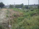FileNo.113a-012.jpg