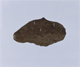FileNo.113a-068.jpg