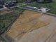 FileNo.113b-003.jpg