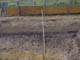 FileNo.113b-009.jpg
