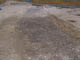 FileNo.113b-015.jpg