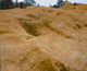 FileNo.113c-006.jpg