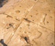 FileNo.113c-009.jpg