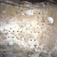FileNo.113c-010.jpg