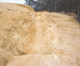 FileNo.113c-011.jpg