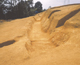 FileNo.113c-012.jpg
