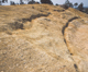 FileNo.113c-015.jpg