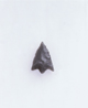 FileNo.113c-029.jpg