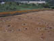 FileNo.114-011.jpg
