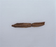 FileNo.114-100.jpg