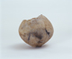FileNo.114-105.jpg