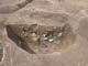 FileNo.115-013.jpg