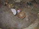 FileNo.115-014.jpg