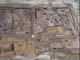FileNo.115-020.jpg