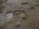 FileNo.116-015.jpg