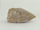 FileNo.116-069.jpg