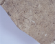 FileNo.116-090.jpg