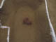 FileNo.117-011.jpg