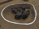 FileNo.117-016.jpg