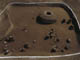 FileNo.117-020.jpg