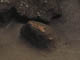 FileNo.117-024.jpg