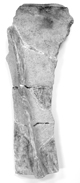FileNo.117-078.jpg
