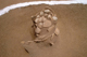 FileNo.117-110.jpg