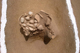 FileNo.117-111.jpg