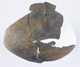 FileNo.117-116.jpg