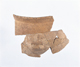 FileNo.117-138.jpg