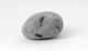 FileNo.117-164.jpg