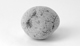 FileNo.117-166.jpg