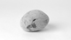 FileNo.117-168.jpg
