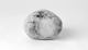 FileNo.117-174.jpg