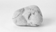 FileNo.117-188.jpg