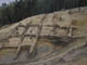FileNo.118-008.jpg