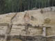 FileNo.118-009.jpg