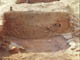 FileNo.118-015.jpg