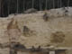 FileNo.118-016.jpg