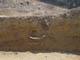 FileNo.118-017.jpg
