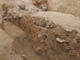FileNo.118-019.jpg