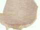 FileNo.118-057.jpg