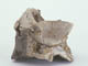FileNo.118-065.jpg