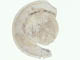 FileNo.118-070.jpg