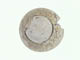 FileNo.118-077.jpg