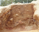 FileNo.118-103.jpg