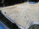 FileNo.119-004.jpg