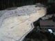 FileNo.119-006.jpg