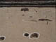 FileNo.119-009.jpg