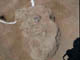 FileNo.119-014.jpg